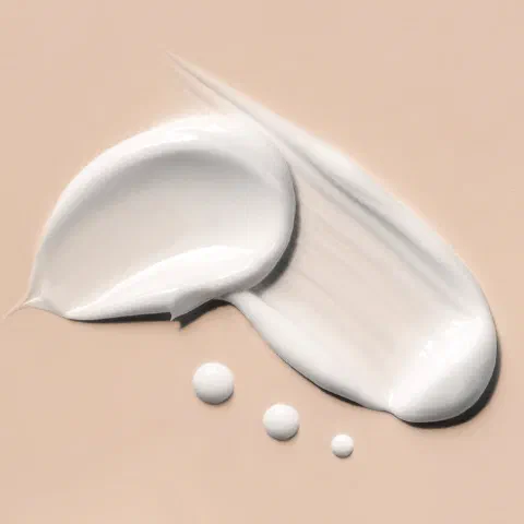 Camellia Calm Hydration Cream